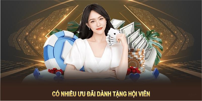 Có nhiều ưu đãi dành tặng hội viên tham gia 