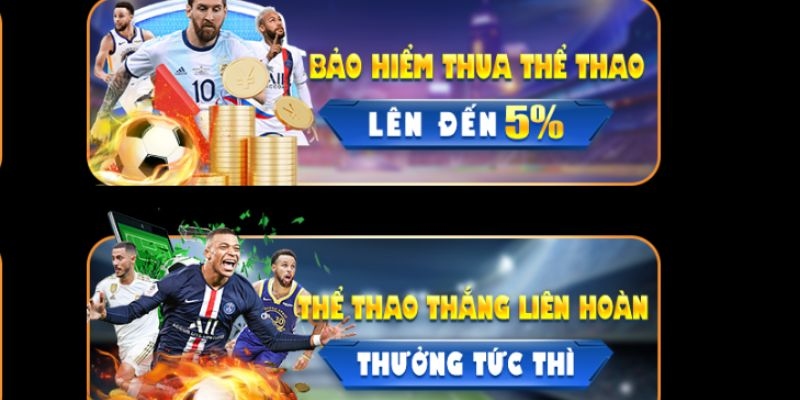 Bảo hiểm chất khi thua cược Thể Thao